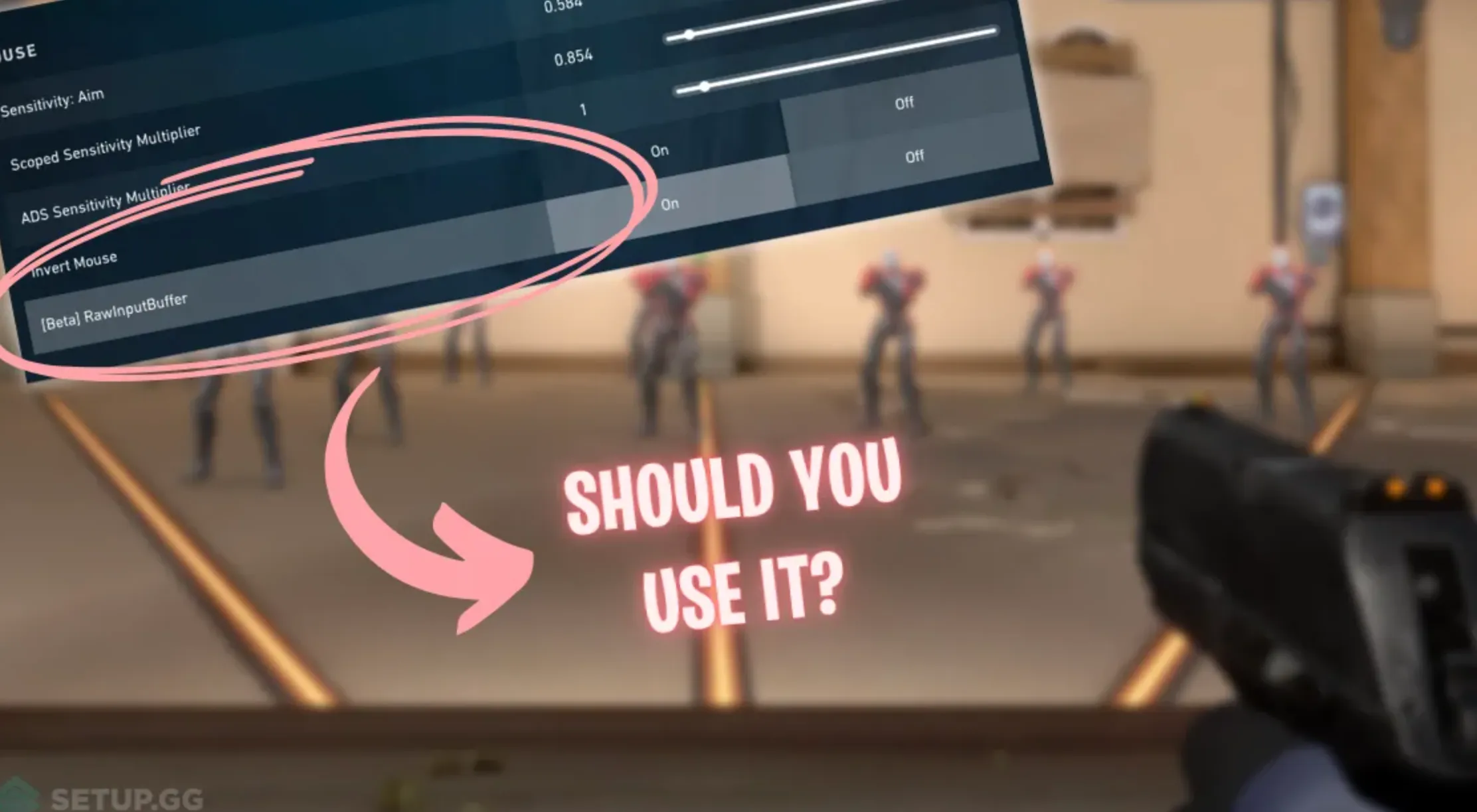 What is Raw Input Buffer in Valorant